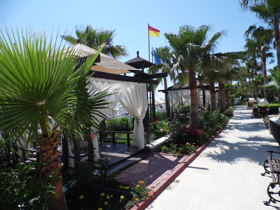 Hotel Saphir Resort & Spa Saphir Resort & Spa