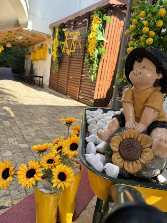 Gartenanlage Hane Family Resort