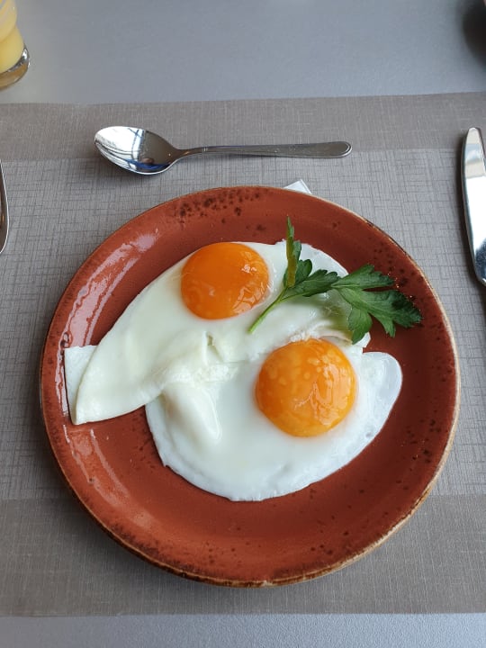 Gastro Mercure Hotel Mannheim am Rathaus