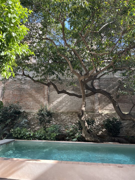 Pool H10 Casa Mimosa