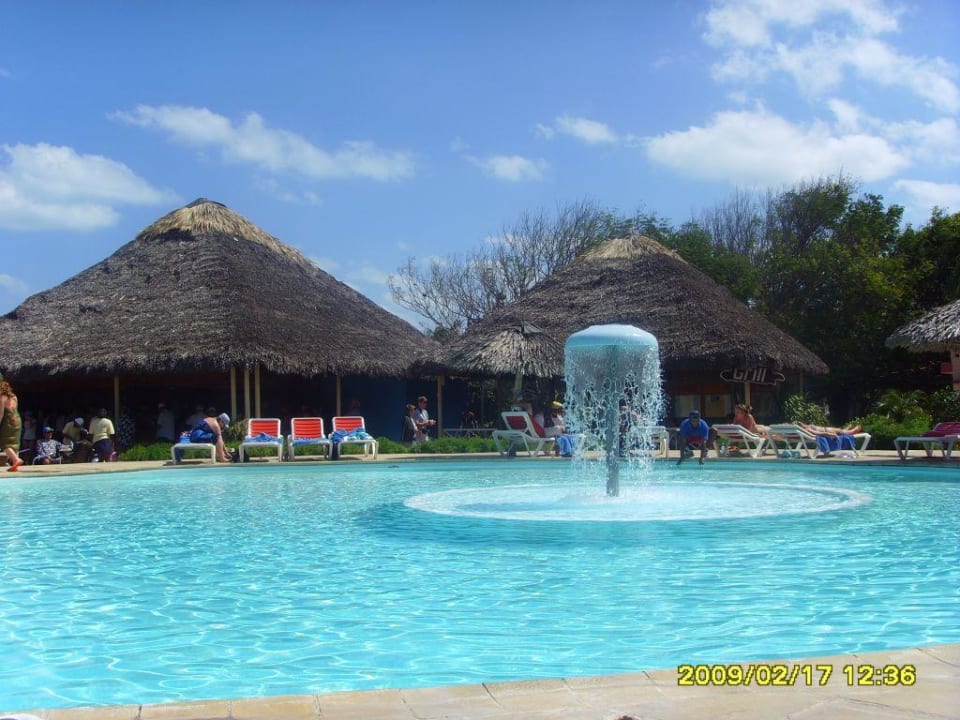 Basen i bar Starfish Cayo Guillermo