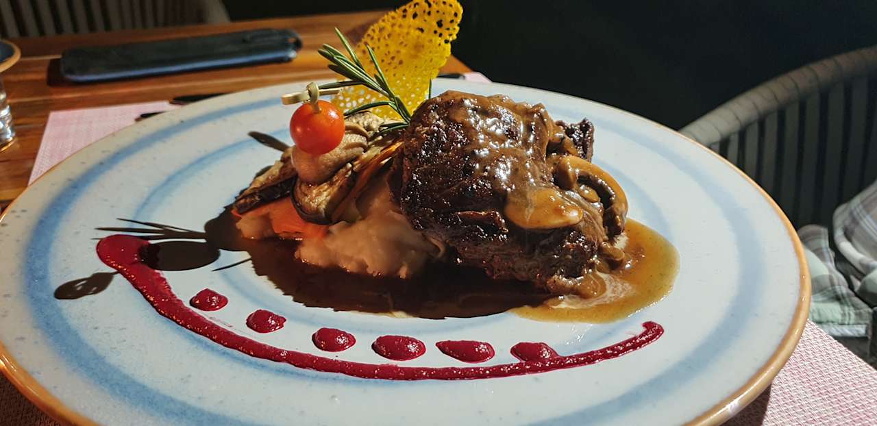 Gastro JAZ Elite Asteria