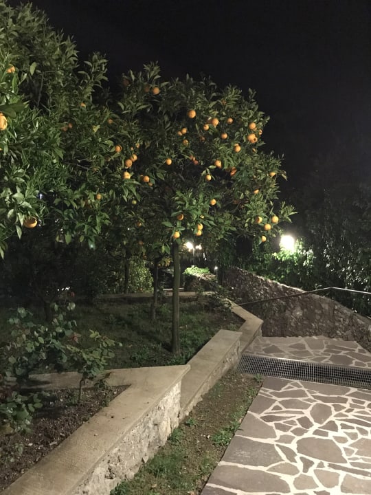 Gartenanlage Hotel Caravel