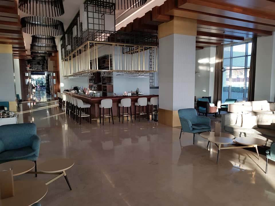 Lobby Acanthus Cennet Barut Collection