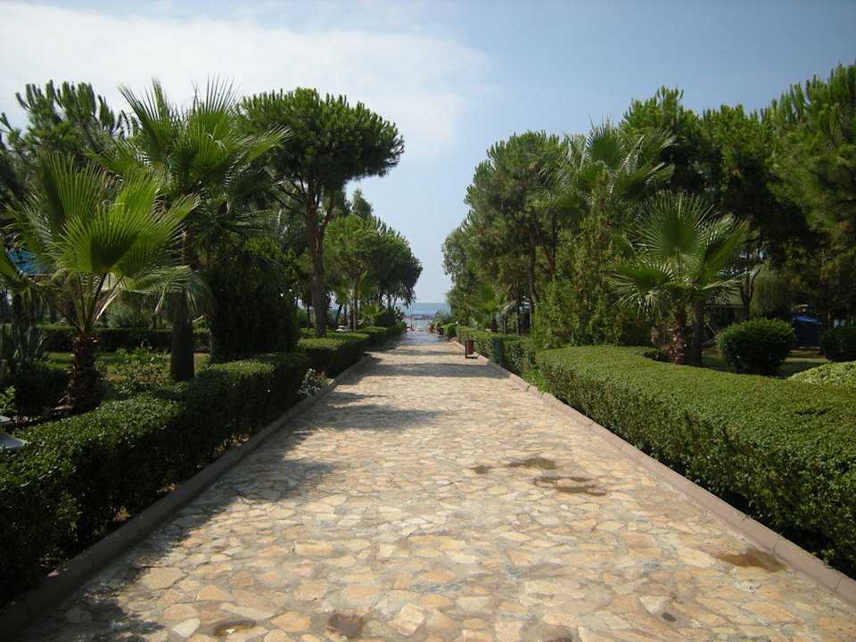 Droga na plażę Club Turtas Beach Hotel