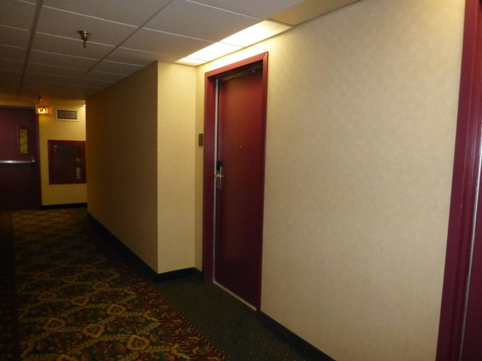 Flur Hotel Comfort Inn - The Pointe