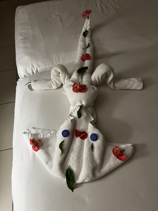 Zimmer Jaz Dar EL Madina