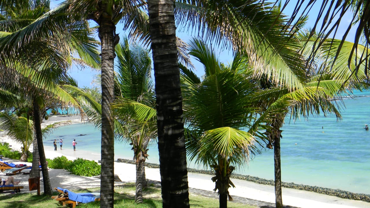 Blick aus Zimmer 407 Tropical Attitude - Adults only