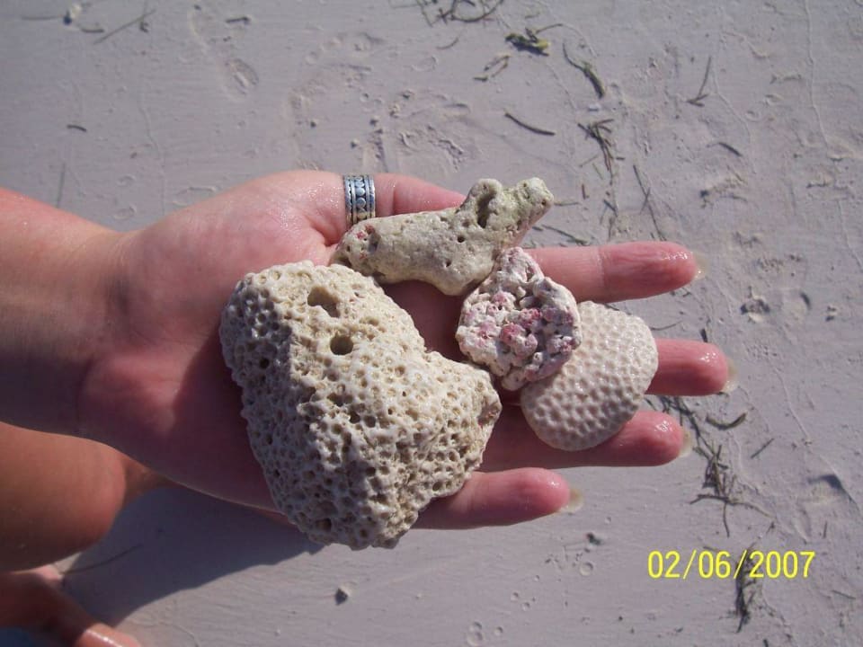 Sand, Korallen, Muscheln Akumal Bay Beach & Wellness Resort