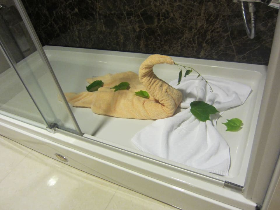 Schwan  Limak Limra Hotel & Resort