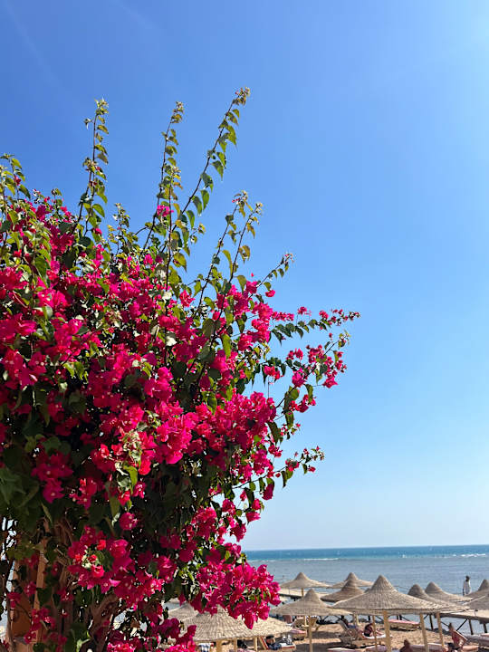 Strand El Karma Aqua Beach Resort