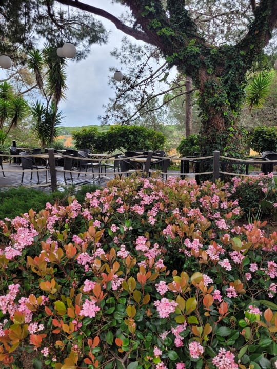 Gartenanlage PortoBay Falésia