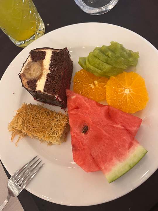 Gastro Seashell Vega