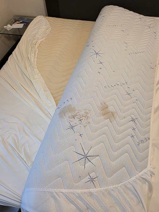 Zimmer Schlosshotel Bad Wilhelmshöhe Conference & Spa