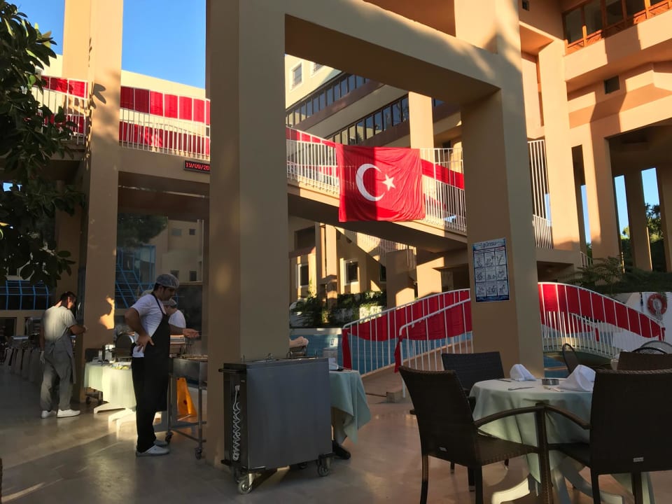 Gastro Asteria Collection Side