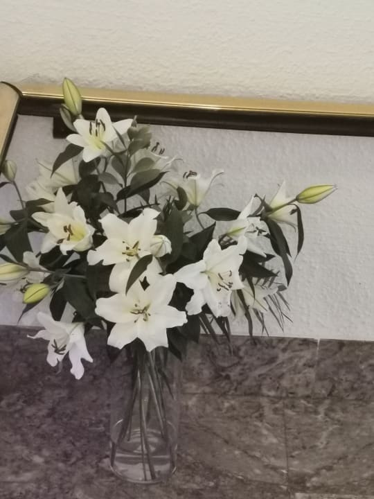 Sonstiges Hotel Clumba