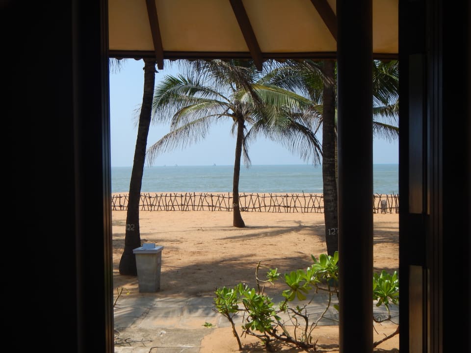 Ausblick Club Hotel Dolphin