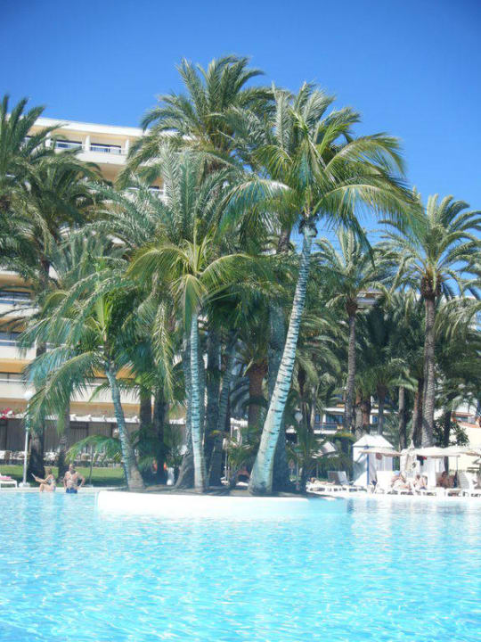 Pool Hotel Riu Palace Palmeras
