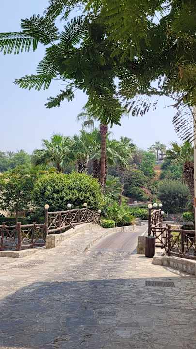 Gartenanlage The Cove Rotana Resort