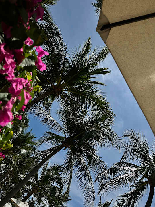 Pool Pandanus Resort