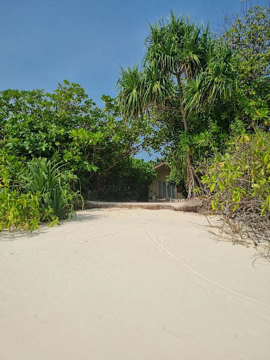 Zimmer Hondaafushi Island Resort