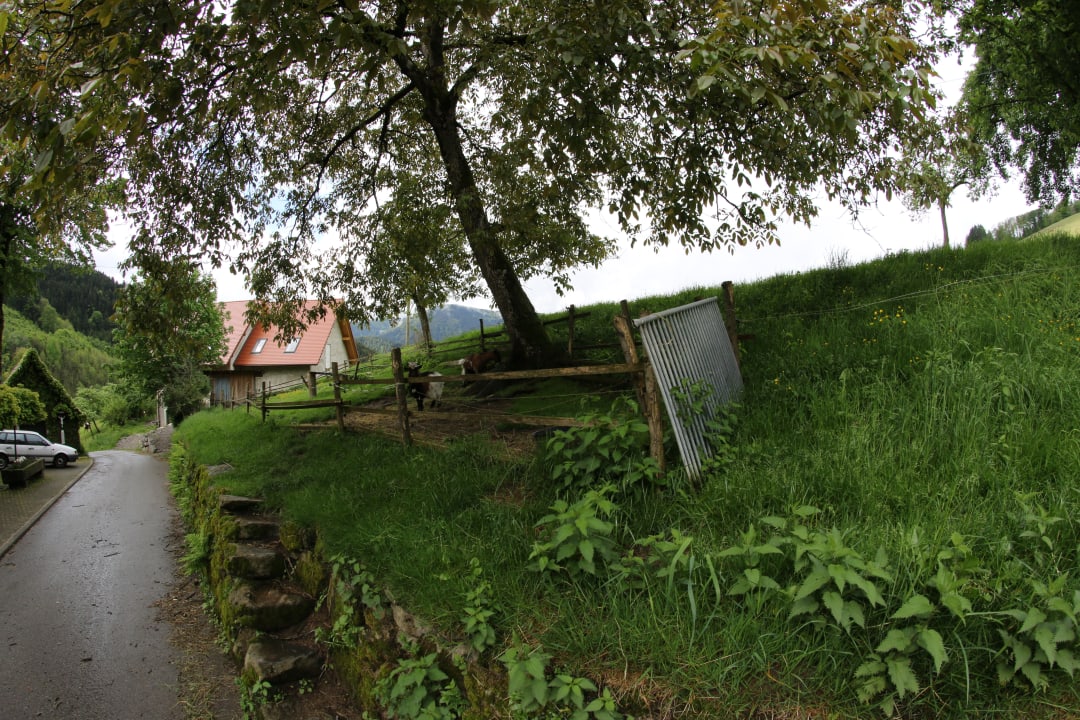 Außenansicht Pension Vitztinerhof