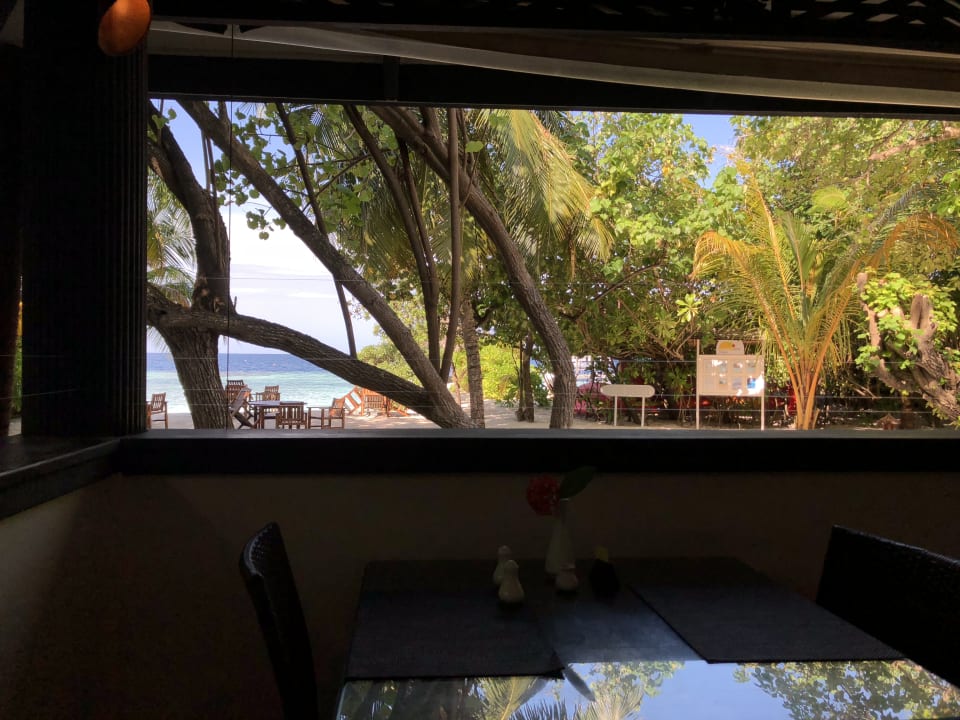 Ausblick Eri Maldives