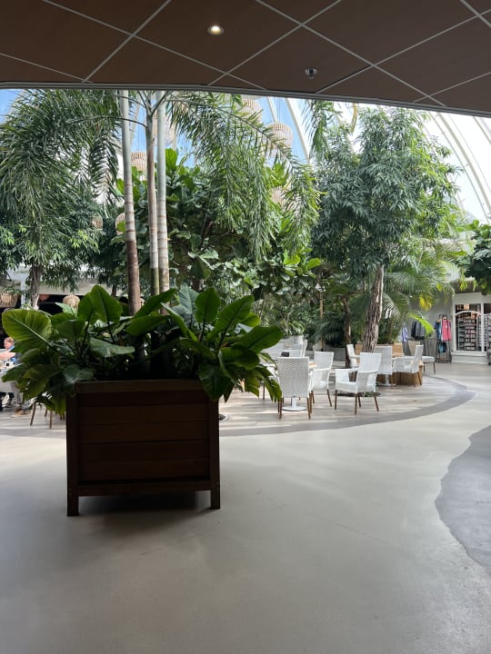 Sonstiges Center Parcs Park Zandvoort