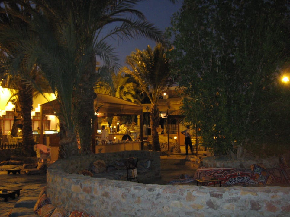 Shisha Menaville Safaga