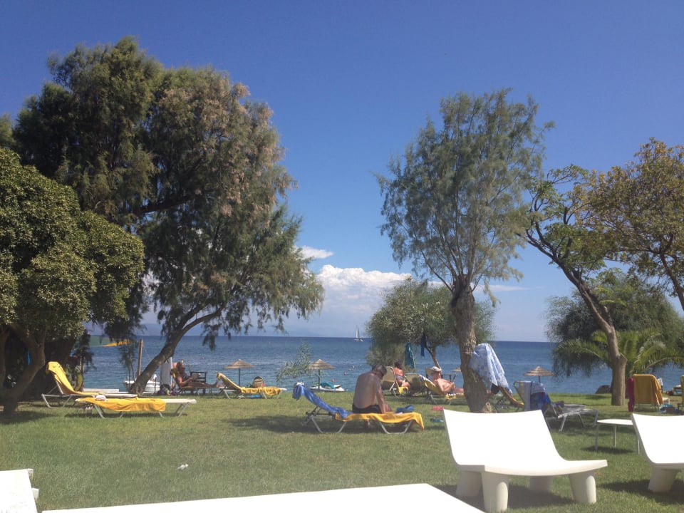 Wiese / Strand TUI BLUE Oceanis Beach and Spa Resort