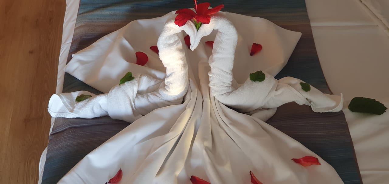 Zimmer Sherwood Exclusive Lara