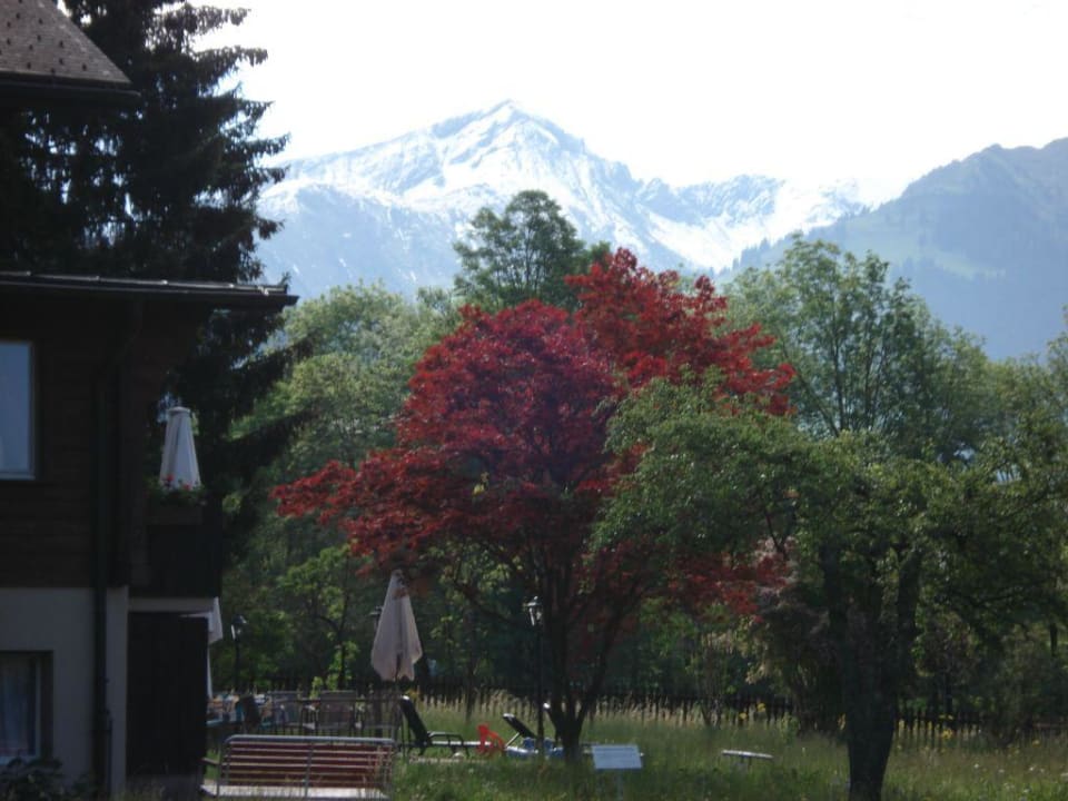 Gartenausblick Hotel Spitzhorn