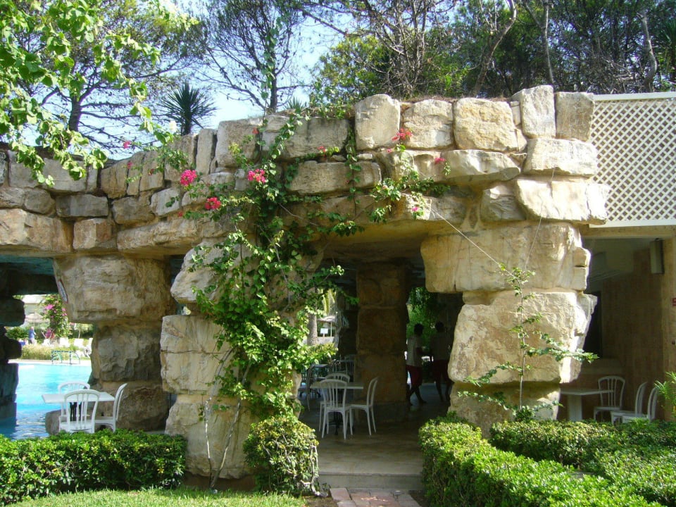 Poolbar TUI MAGIC LIFE Africana