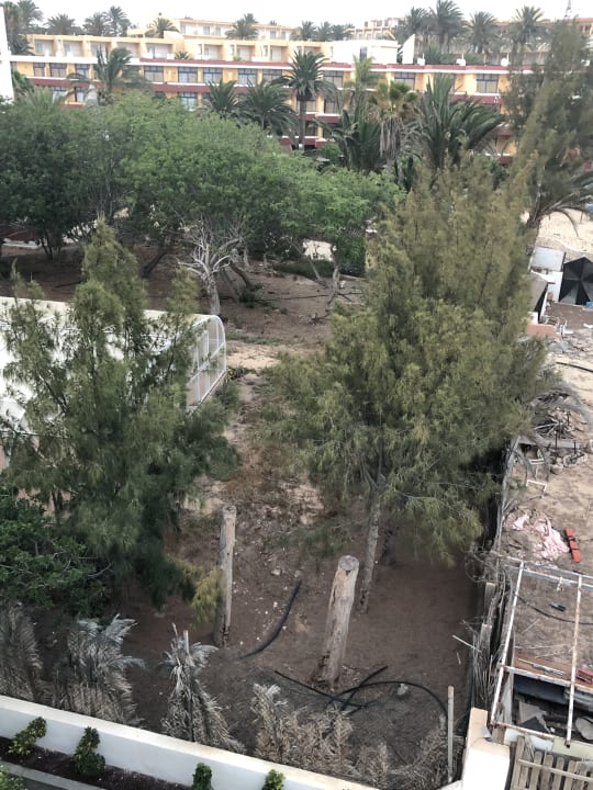 Gartenanlage SBH Fuerteventura Playa