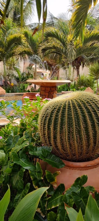 Gartenanlage Hotel Riu Touareg