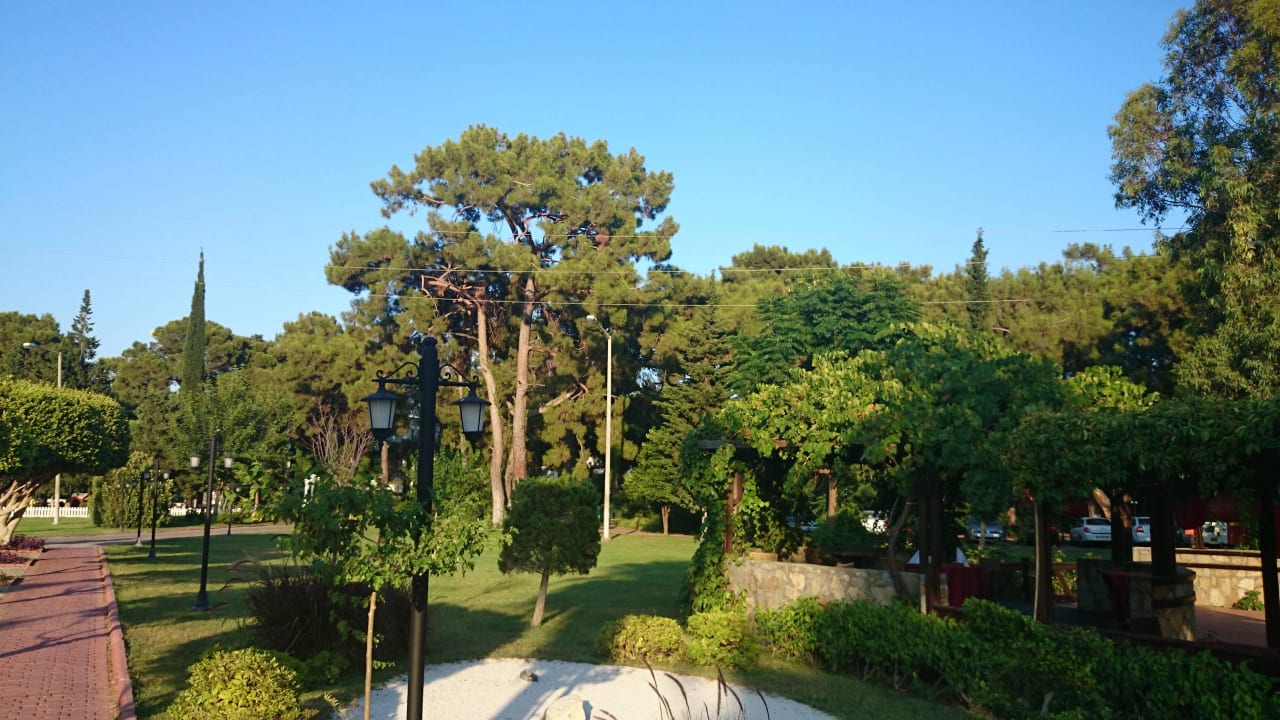 Великолепная флора  Club Marco Polo