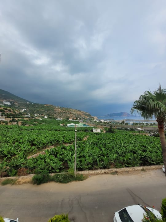 Ausblick La Finca Marina