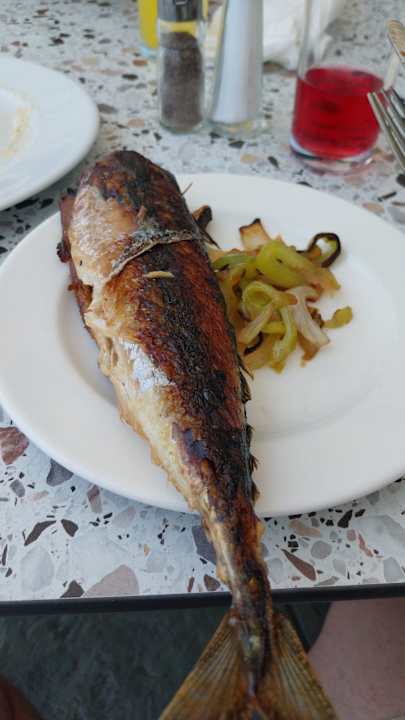 Gastro Hotel Borjana