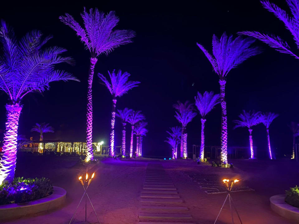 Strand Steigenberger Resort Alaya Marsa Alam - Red Sea - Adults only
