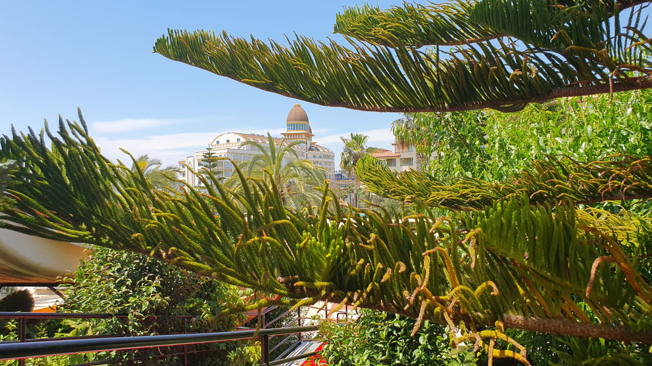 Gartenanlage Seaden Corolla Hotel