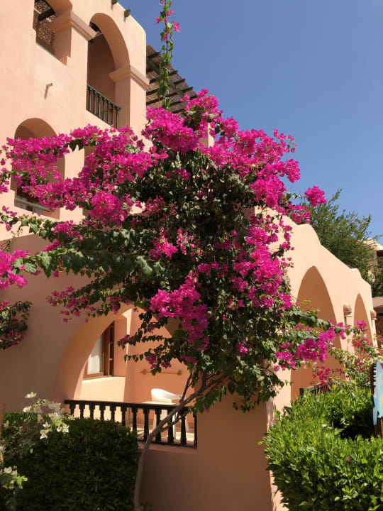 Gartenanlage Three Corners Rihana Resort Deluxe