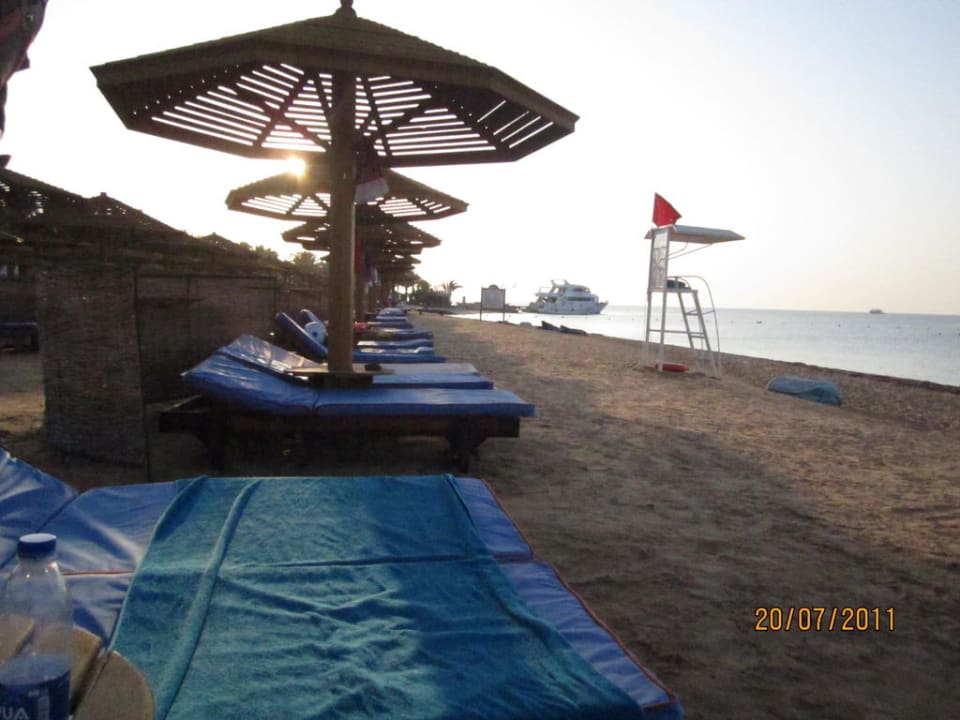 Plaża SUNRISE Royal Makadi Resort