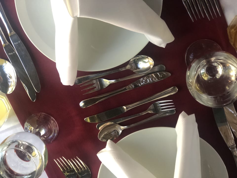 Gastro Asteria Collection Side