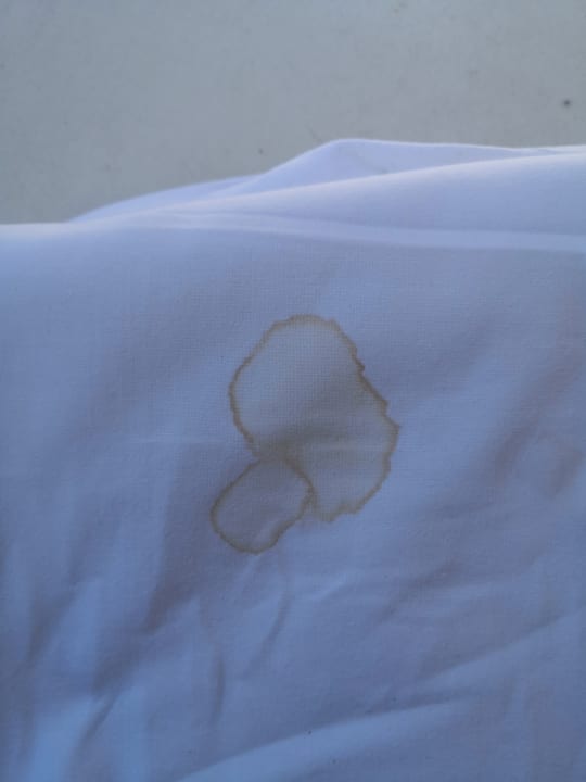 Sonstiges Rügen Phönix Appartements