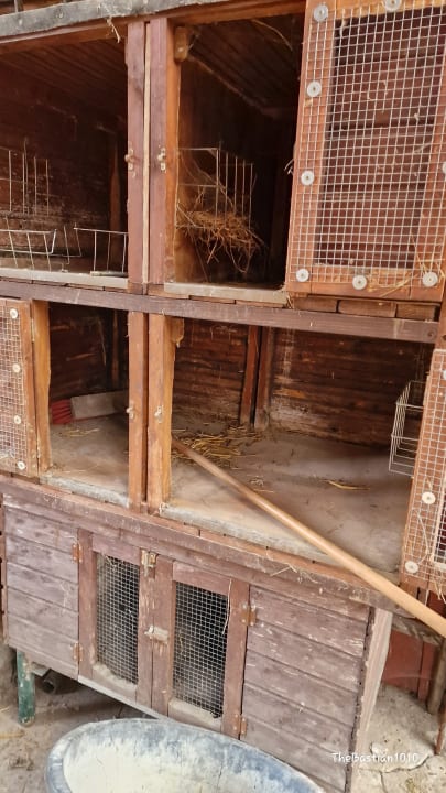 Sport & Freizeit Hotel Norddeutscher Hof