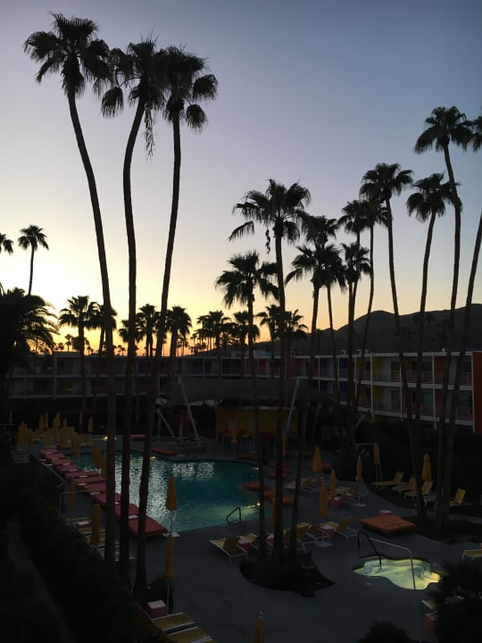 Ausblick Joie de Vivre Hotel The Saguaro Palm Springs