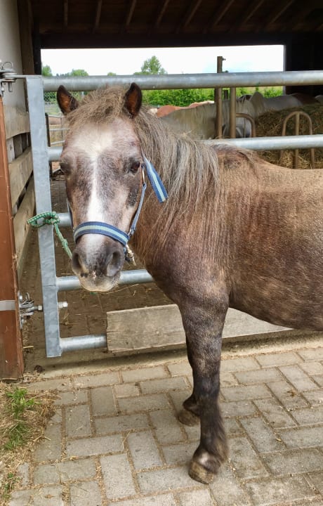 Sonstiges Ferienhof Grieshof