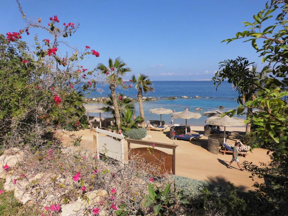 Strand Pickalbatros Citadel Resort