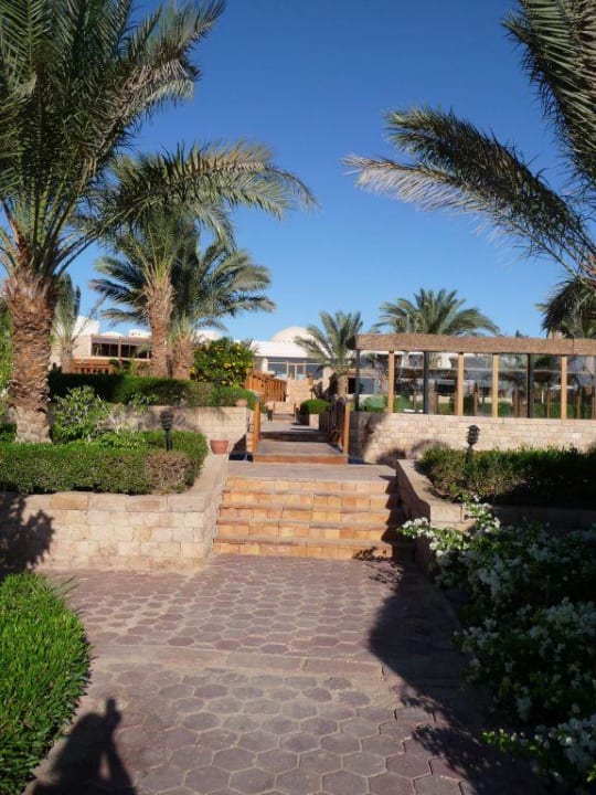 Garten Fort Arabesque Resort, Spa & Villas