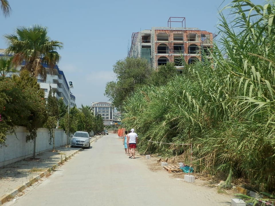 Weg zum Strand Dizalya Palm Garden